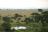 Queen Elizabeth National Park