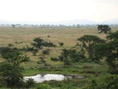 Queen Elizabeth National Park Queen Elizabeth National Park