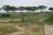 Queen Elizabeth National Park