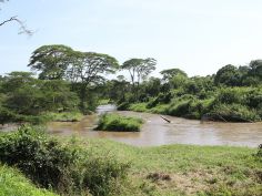 Queen Elizabeth National Park - Ishasha Sektor Queen Elizabeth National Park - Ishasha Sektor