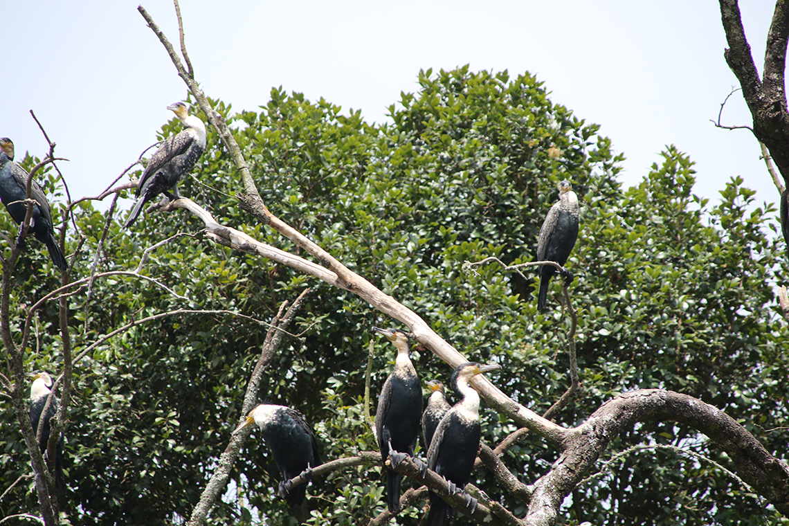 Lake Mutanda - Kanu Ausflug