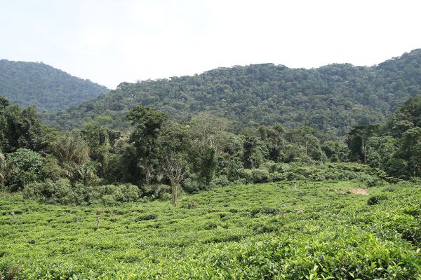 Best of Uganda