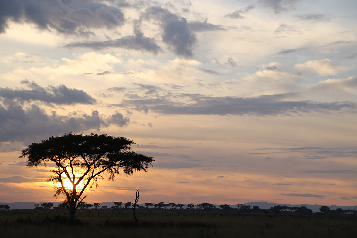 Unterwegs in Uganda
