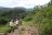 Classic Uganda - Gorilla Trek