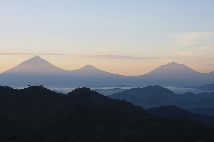 Bwindi Impenetrable Forest