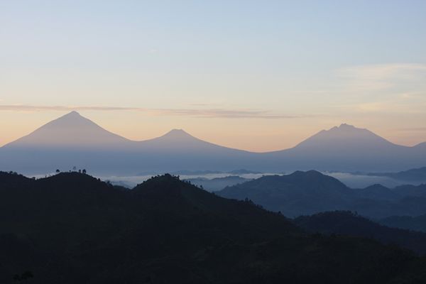 Flugsafari Bwindi & Queen Elizabeth National Park