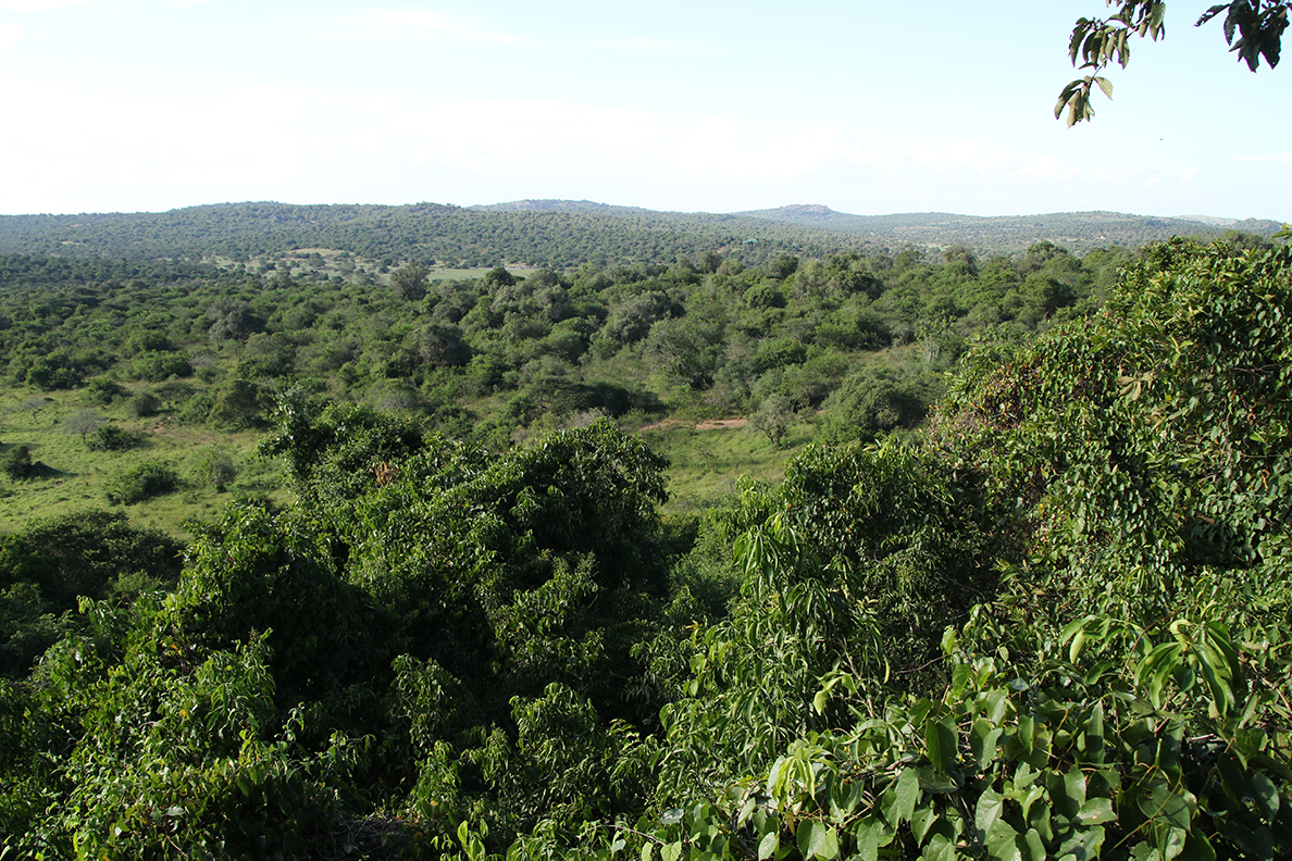 Lake Mburo National Park