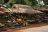 Uganda Camping Safari - Marktszene unterwegs