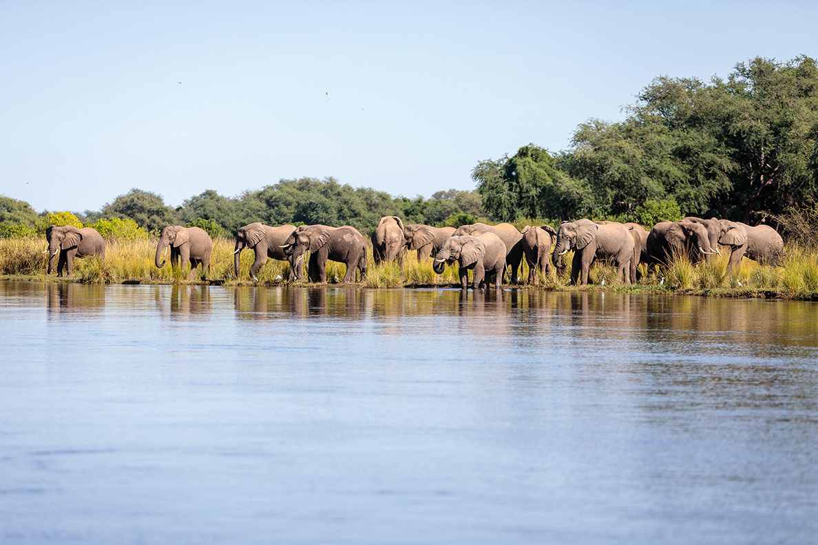 Anabezi Camp