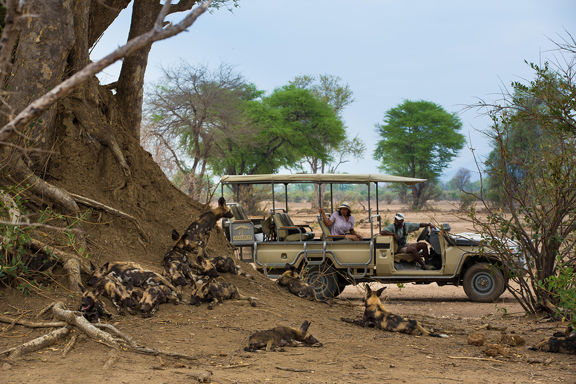 Anabezi Camp