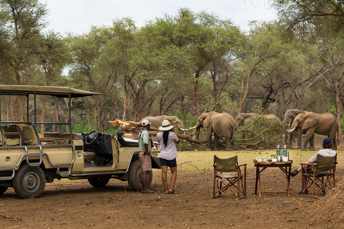 Anabezi Camp