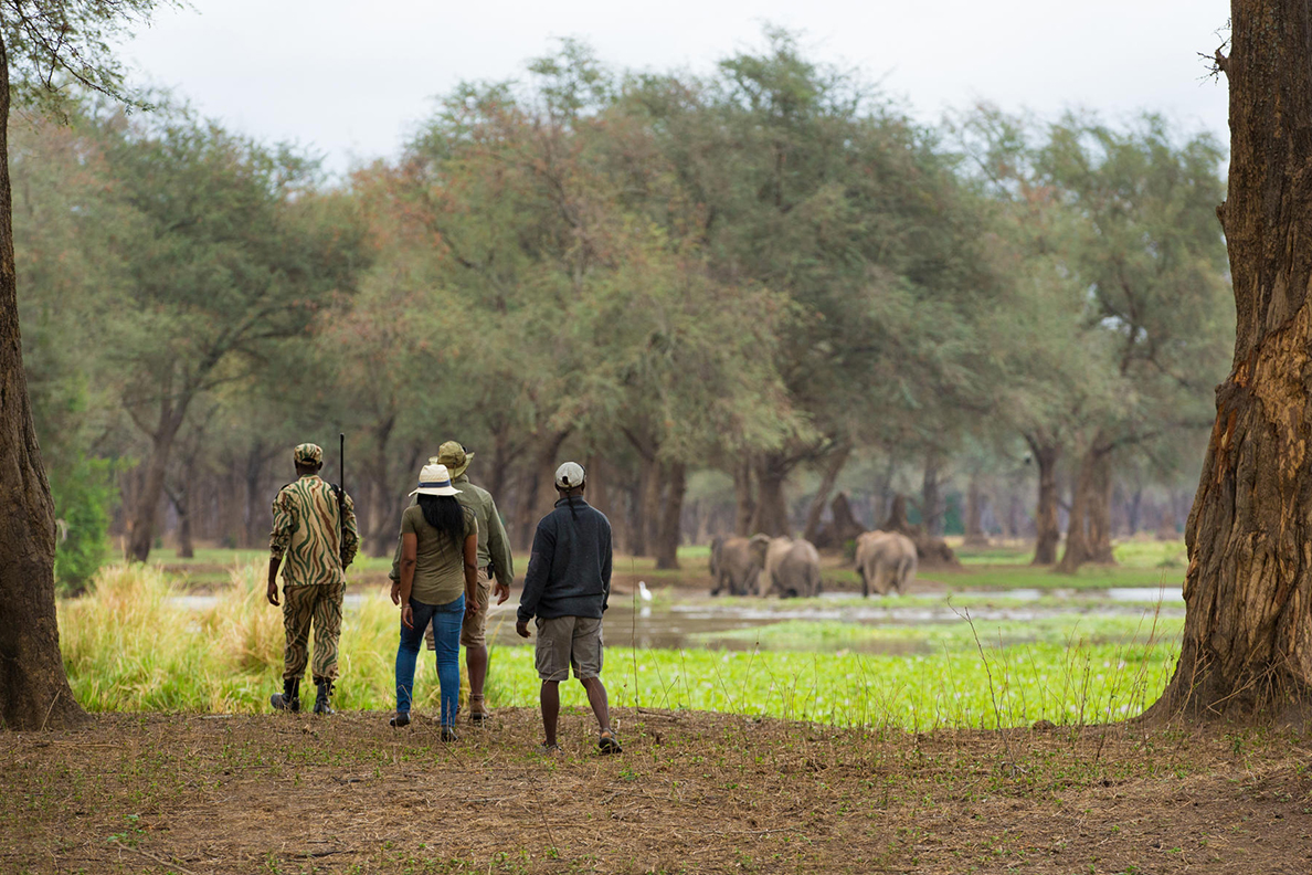 Anabezi Camp