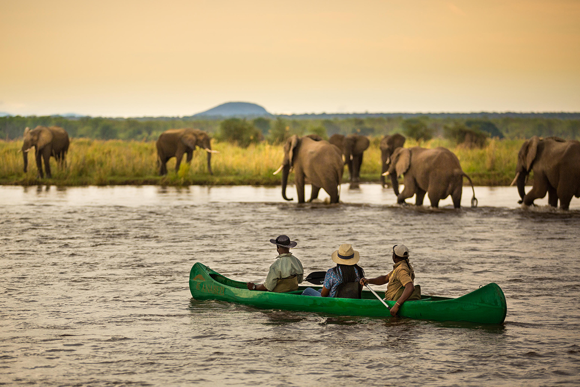 Anabezi Camp