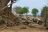 Anabezi Camp