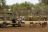 Anabezi Camp