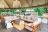 Anabezi Camp