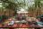 Busanga Bush Camp