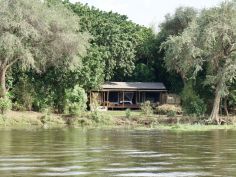 Chiawa Camp - Zelt-Zimmer Chiawa Camp - Zelt-Zimmer