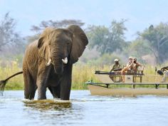 Chiawa Camp - Bootsausflug auf dem Zambezi