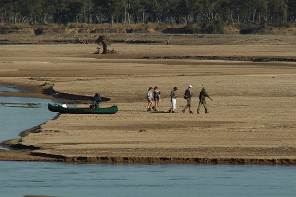 Chikoko Trails - South Luangwa National Park