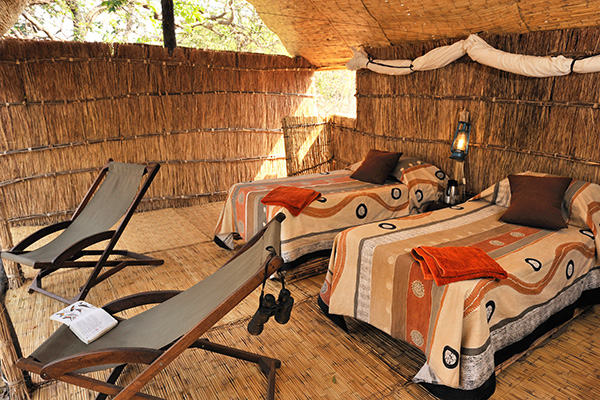 Chikoko Tree Camp