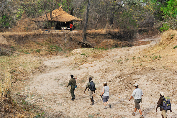 Chikoko Tree Camp