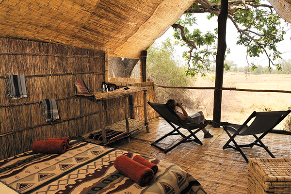 Chikoko Tree Camp