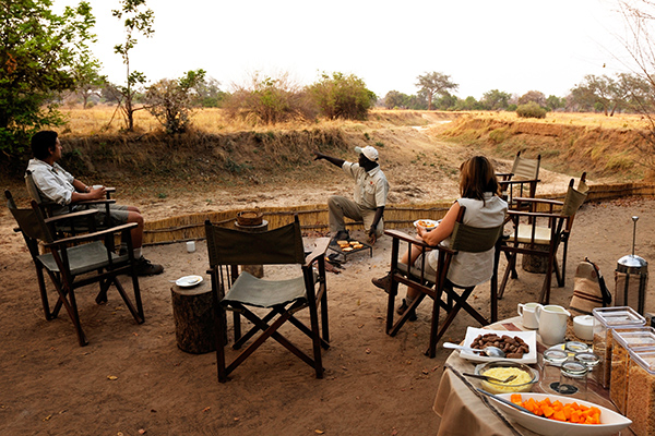 Chikoko Tree Camp