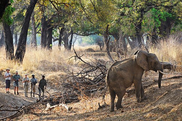 Chikoko Walking Trails