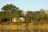 Chindeni Camp