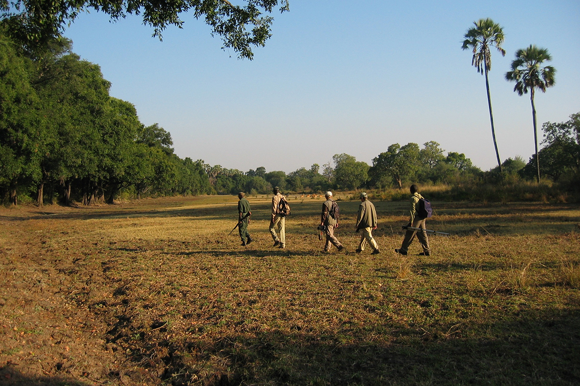 Island Bush Camp