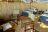 Island Bush Camp - Chalet