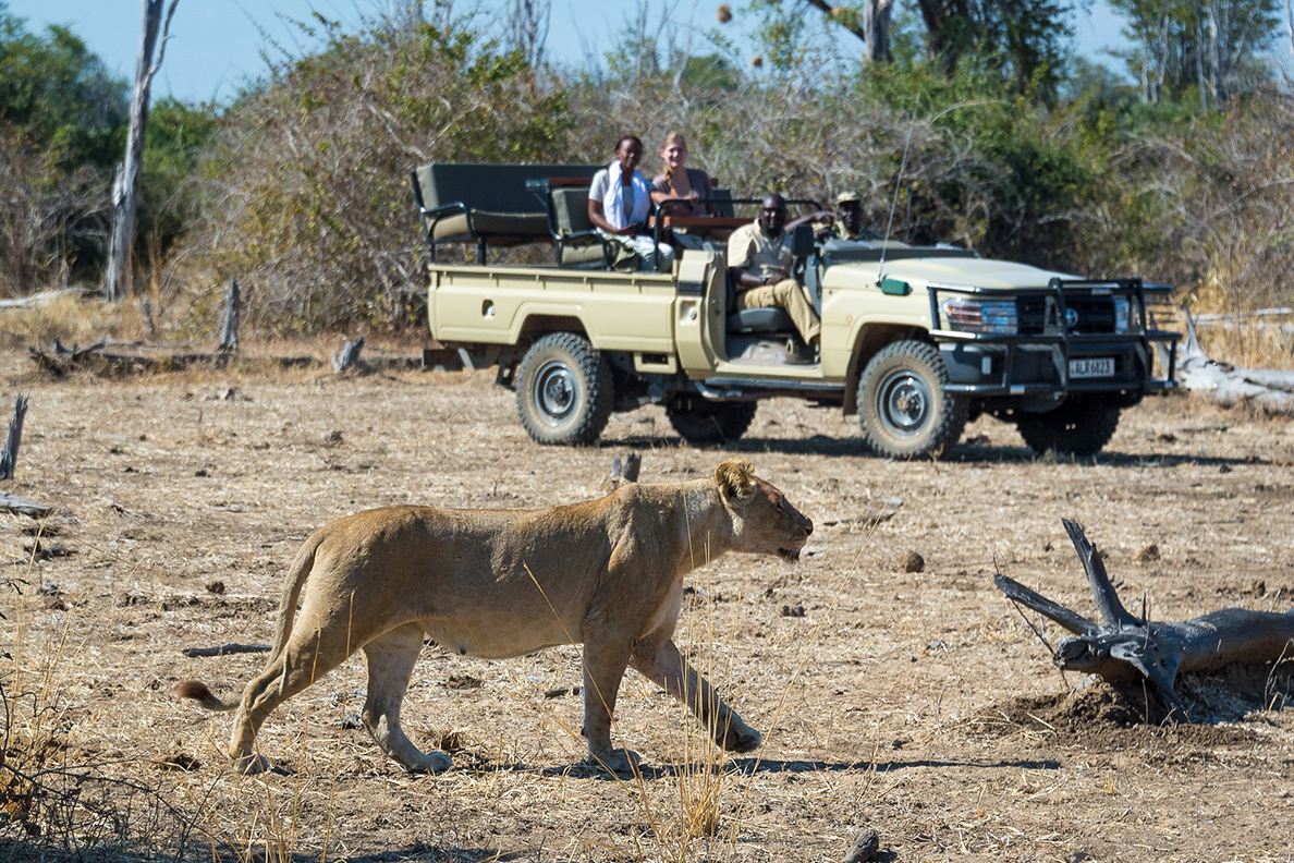 Luangwa River Camp - Pirschfahrt