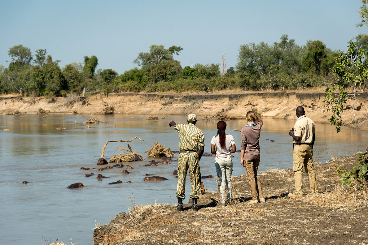 Luangwa River Camp - Walking Safaris