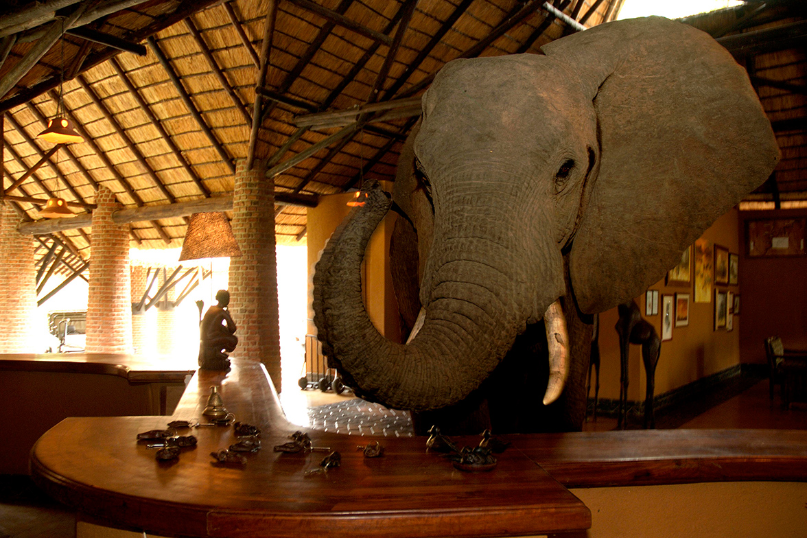Mfuwe Lodge - Elefanten in der Reception