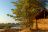 Mwaleshi Camp - Northern Luangwa National Park
