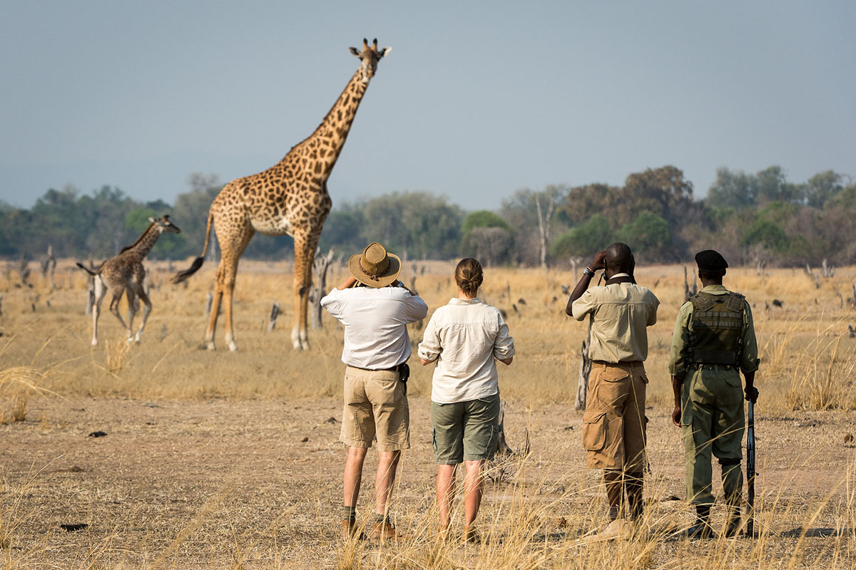 Nsefu Camp - Bush Walk