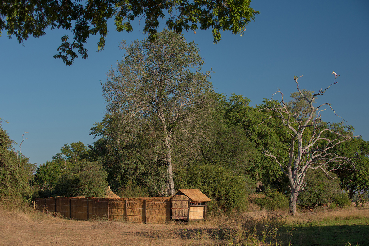 Nsefu Camp