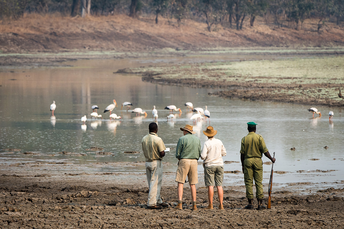 Nsefu Camp - Bush Walk