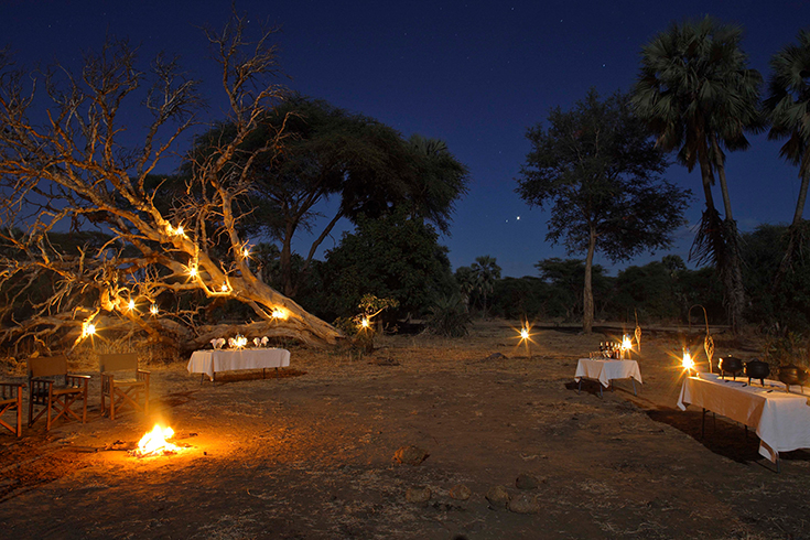 Potato Bush Camp - Bush Dinner