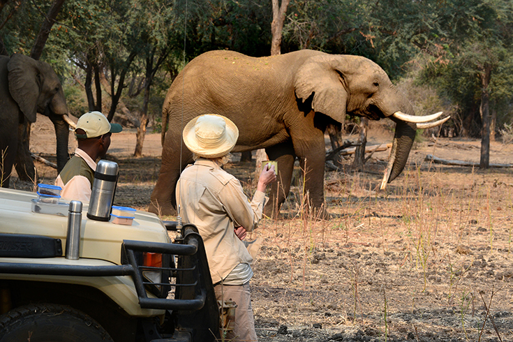 Potato Bush Camp - Game Drive