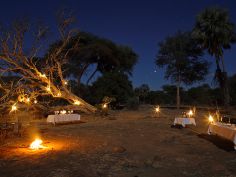 Potato Bush Camp - Bush Dinner