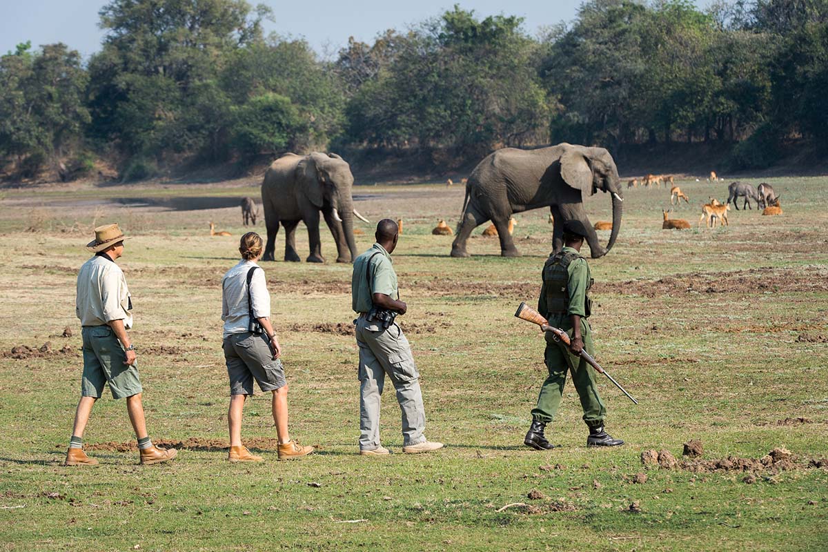 South Luangwa Bush Camping
