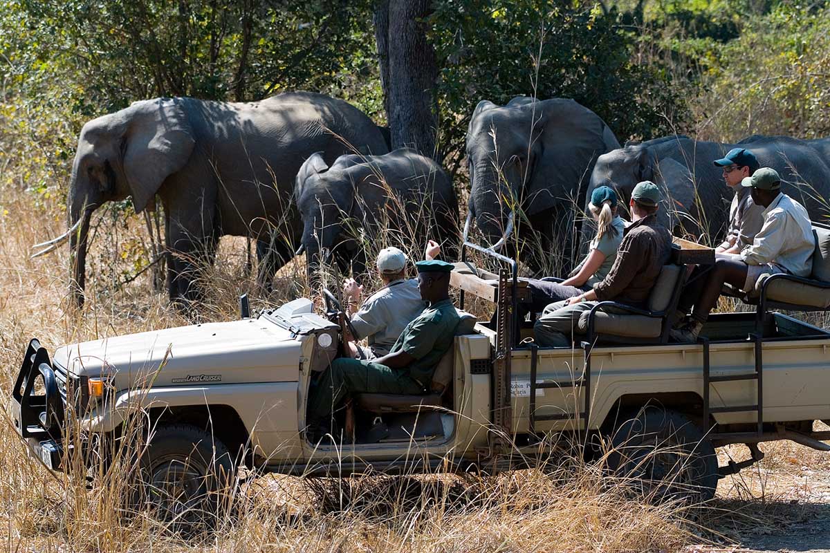 South Luangwa Bush Camping