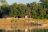 Chinzombo Camp - Main Area