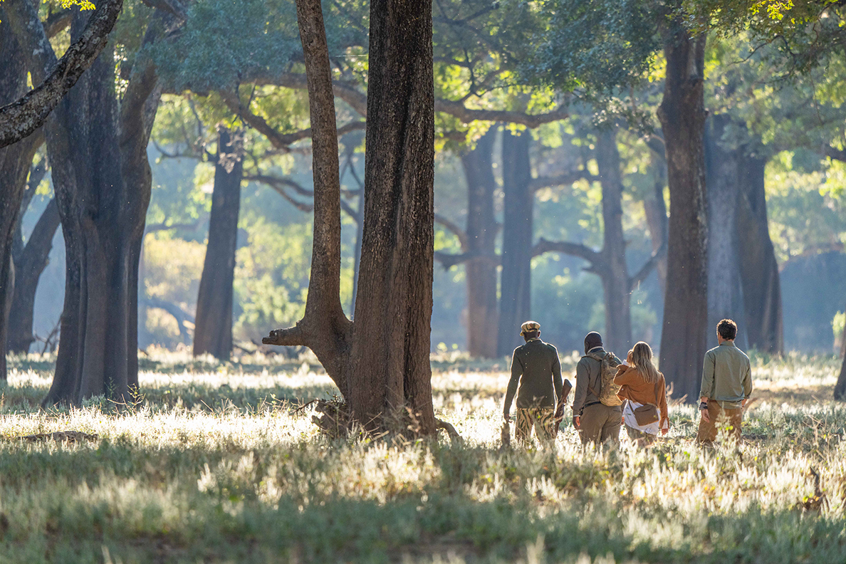 Time + Tide - Bush Walk im South Luangwa National Park
