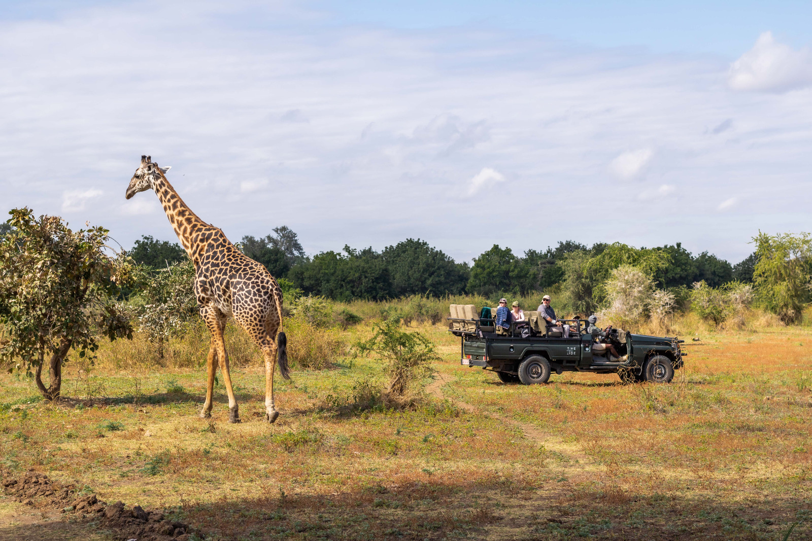 Time + Tide - Pirschfahrt im South Luangwa National Park