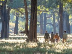 Time + Tide - Bush Walk im South Luangwa National Park Time + Tide - Bush Walk im South Luangwa National Park