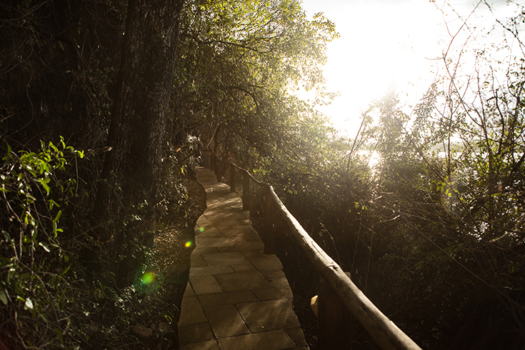Tongabezi - Tree House