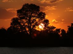 Kafue National Park Kafue National Park